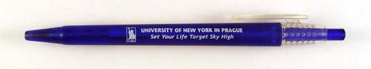 University of New york