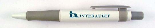 Interaudit