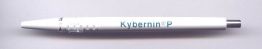 Kybernin