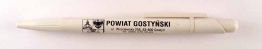Powiat gostyski