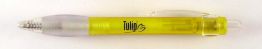 Tulip