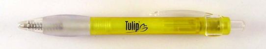 Tulip