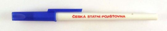 esk sttn pojiovna
