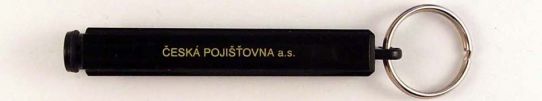 esk pojiovna