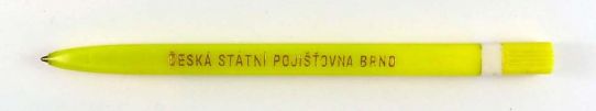 esk sttn pojiovna