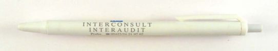 Interconsult Interaudit