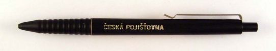 esk pojiovna