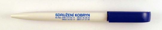 Sdruen Kobryn