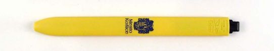Mesto Koice