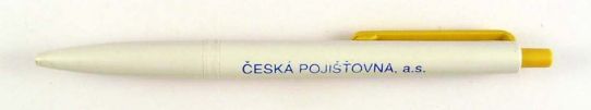 esk pojiovna