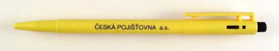 esk pojiovna