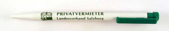 Privatvermieter