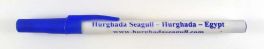 Hurghada Seagull