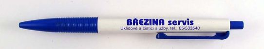 Bezina servis