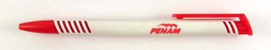 Penam