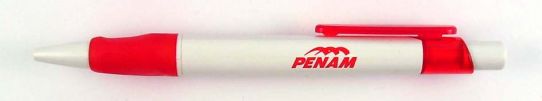 Penam