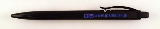 GiS