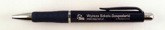 WSG
