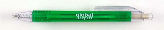 Global expert