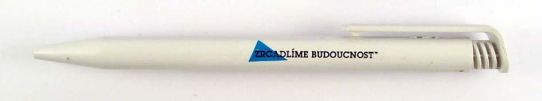 Zrcadlme budoucnost