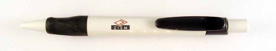 ZISM