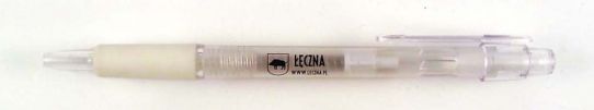 Leczna
