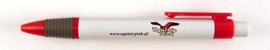 Ognisty ptak