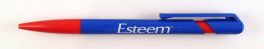 Esteem
