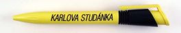 Karlova Studnka