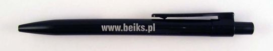 www.beisk.pl