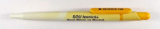 SOU lesnick