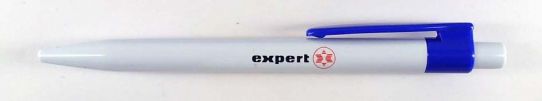 Expert