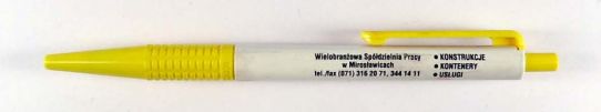 Wielobranowa