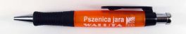 Waluta