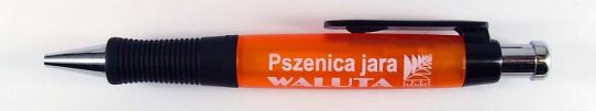 Waluta