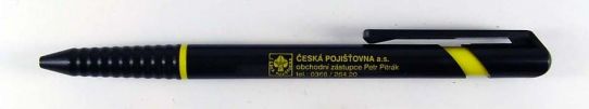 esk pojiovna