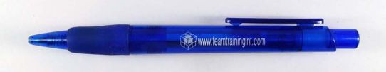 www.teamtraningint.com