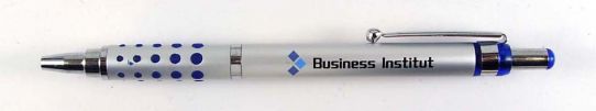 Business Institut