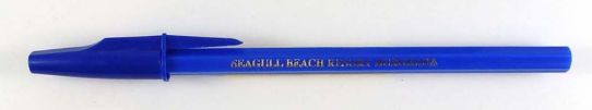 Seagull beach