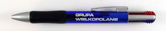 Wielkopolanie