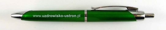 www.uzdrowisko-ustron.pl