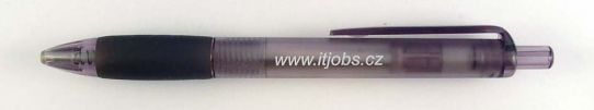 www.itjobs.cz