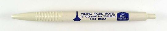 Viking fjord