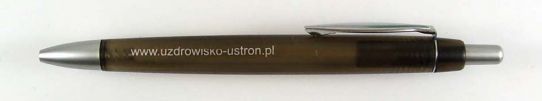 www.uzdrowisko-ustron.pl