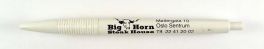 Big Horn