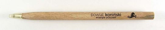 Powiat Koniski
