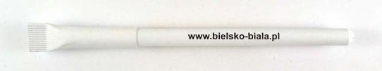 www.bielsko-biala.pl