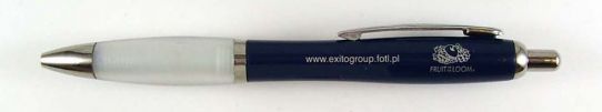 www.exitogroup.fotl.pl