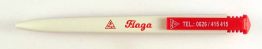 Flaga